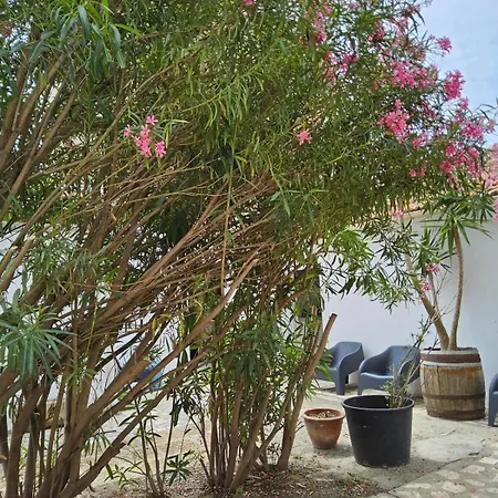 Appartement Le Barracuda Du *